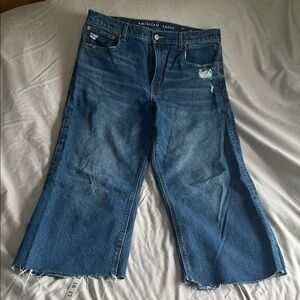 American Eagle Outfitters Blue Flare Jeans